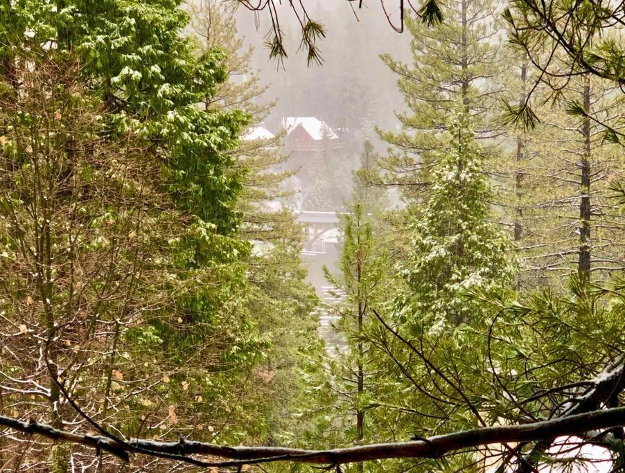 Glimmer Chalet Treetop A-Frame Cabin Lake View Лейк Ароухед Екстериор снимка