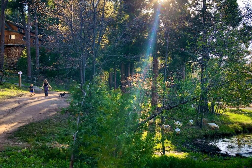 Glimmer Chalet Treetop A-Frame Cabin Lake View Лейк Ароухед Екстериор снимка